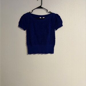 Anthropologie MOTH Royal Blue Knit Sweater